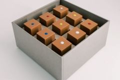 Pixel