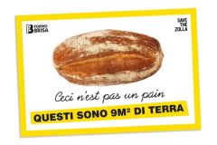 Forno Brisa