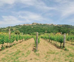 maremma food and wine italia