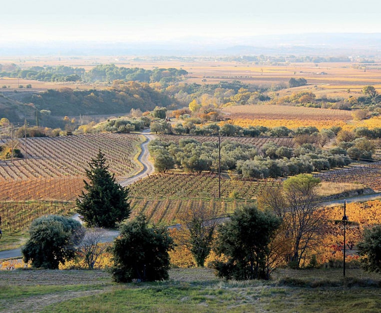 Languedoc