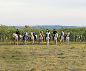 Languedoc