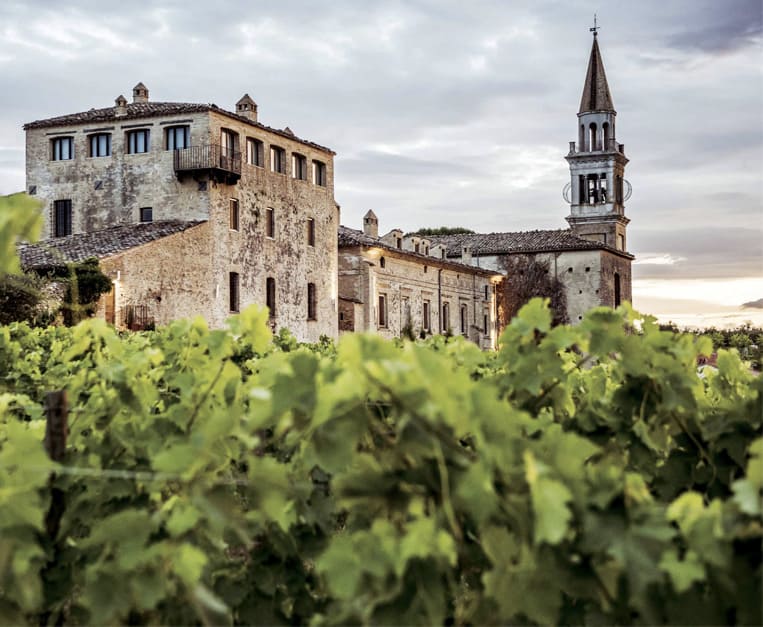 relax tra le vigne