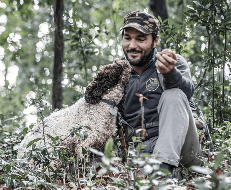 caccia al tartufo