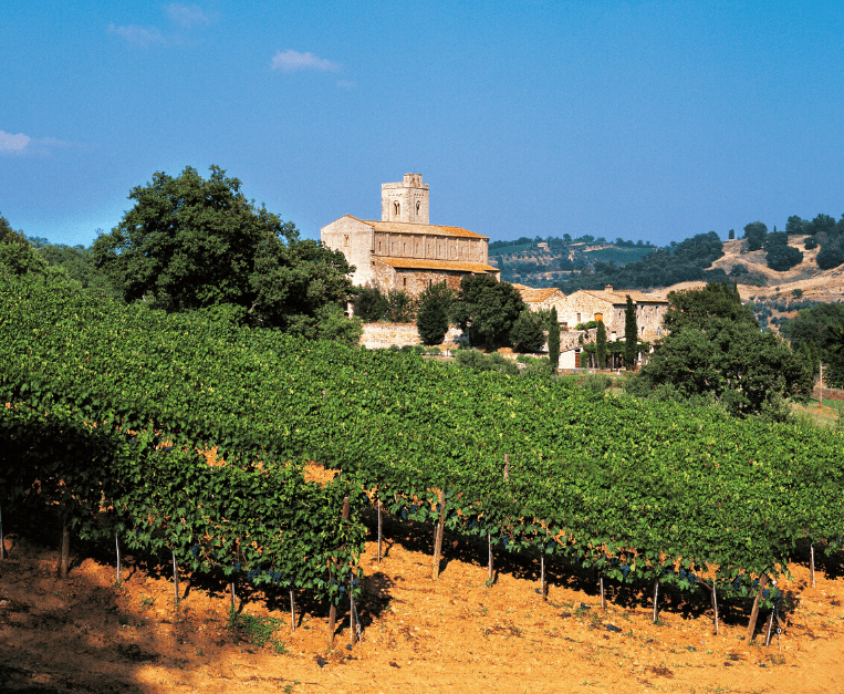 Brunello di Montalcino