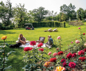 picnic La Tesa