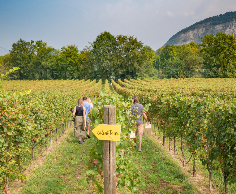 Franciacorta