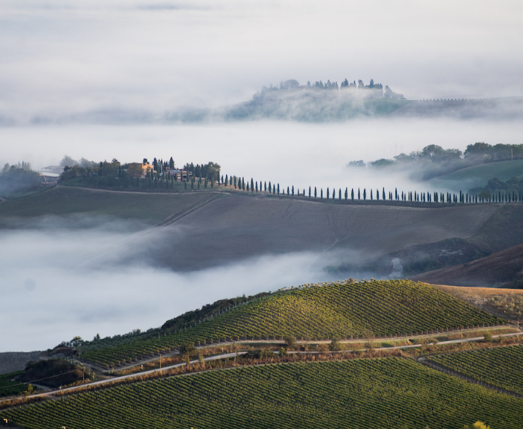 Montalcino