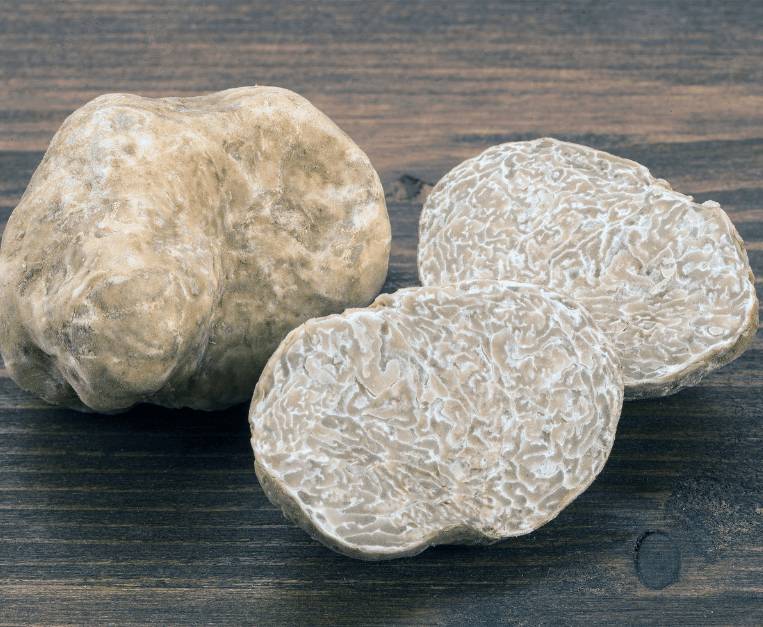 tartufo bianco