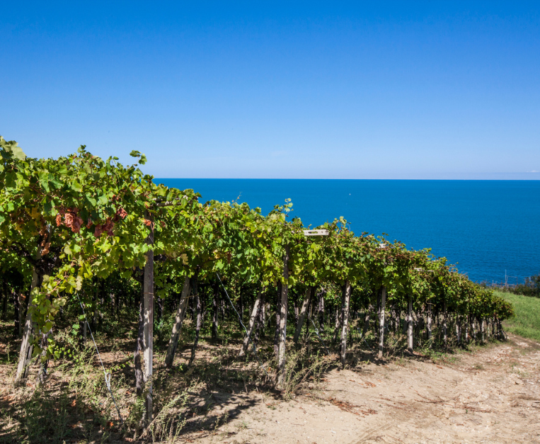 Abruzzo estate