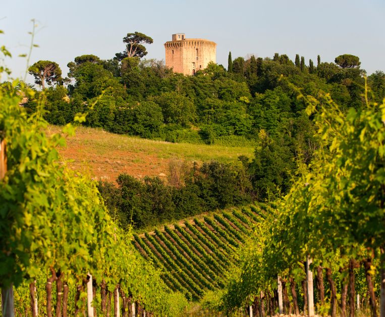 Oriolo dei Fichi (RA) (1)