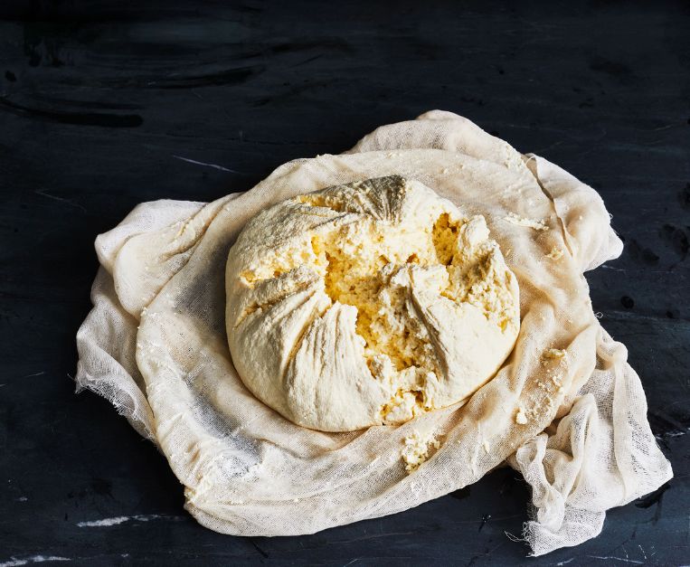 Ricotta fresca fatta in casa