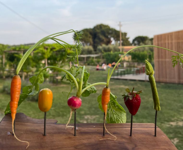 Pinzimonio Osteria Ancestrale Toscana