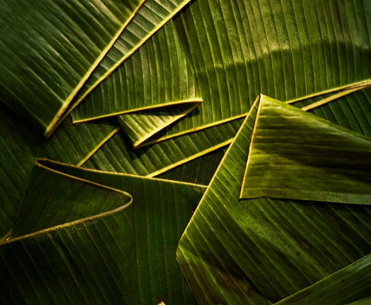 Foto di Victor Protasio