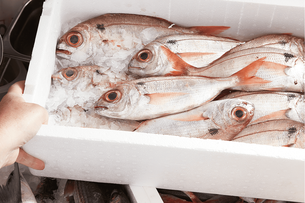 Chinappi, a lezione di mare • Food and Wine Italia