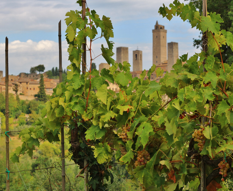 vernaccia-san-gimignano-cos-e-degustazione-sapore