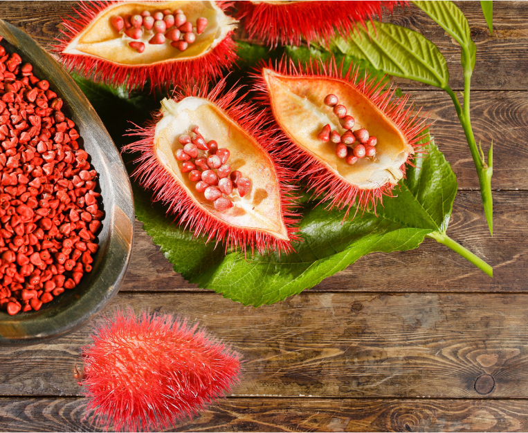 annatto-cos-e
