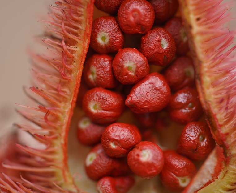 annatto