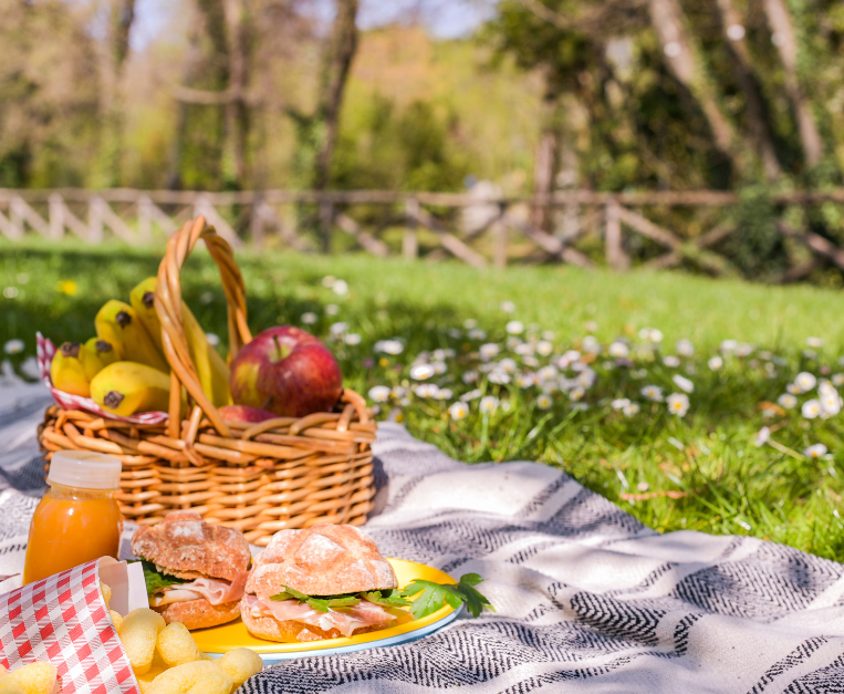 la-storia-del-picnic-e-incredibilmente-legata-a-uno-dei-quadri-piu-famosi-del-mondo