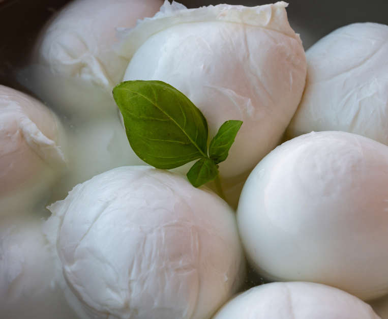 mozzarella-fiordilatte-differenze-preparazione-gusto-materia-prima-bufala