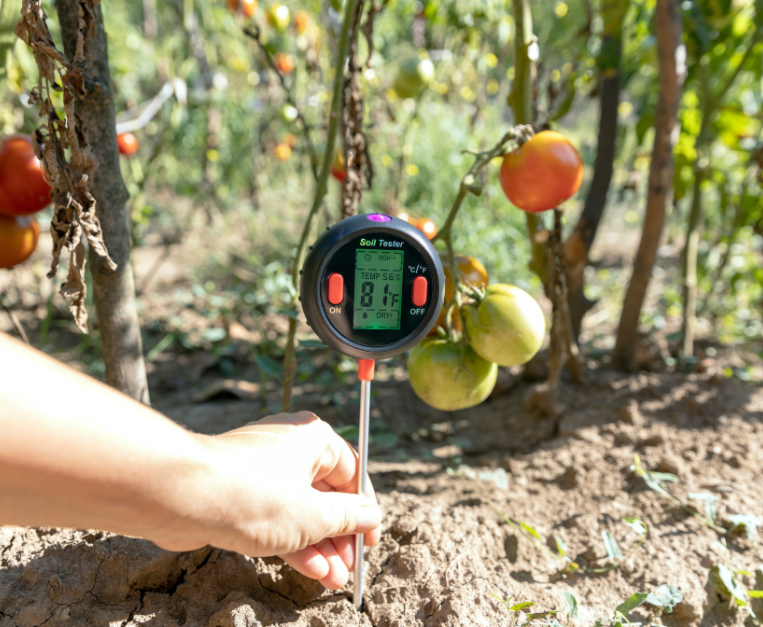 cambiamento-climatico-verdure