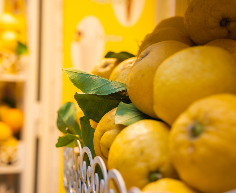 limoni-limoneti-terrazzamenti-amalfi-fao