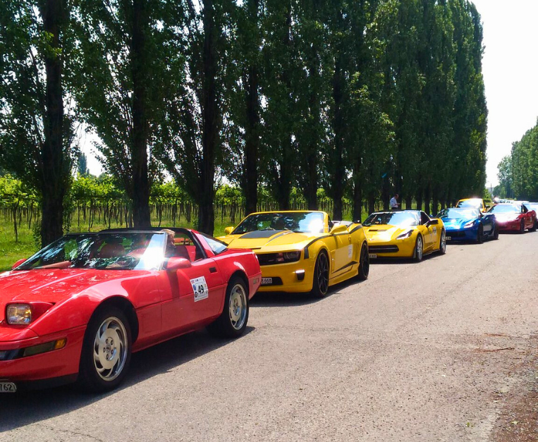 Collezione d'auto d'epoca di Monari Federzoni