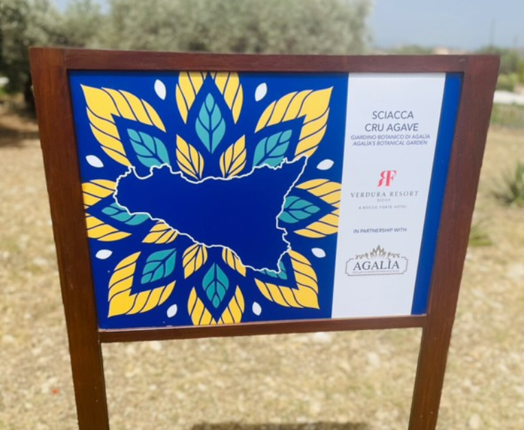 agalia-verdura-giardino-botanico-agave-sicilia