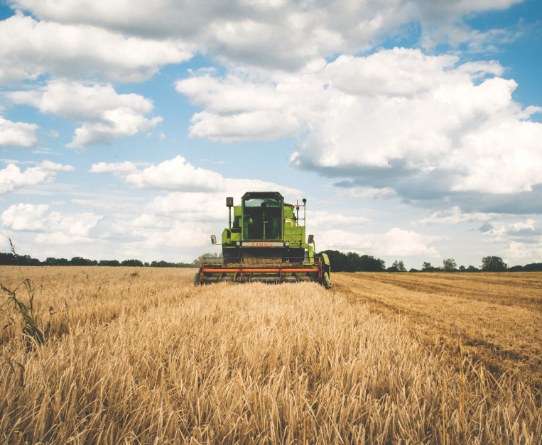 campania-mater-2025-napoli-agricoltura-futuro-food-e-wine.