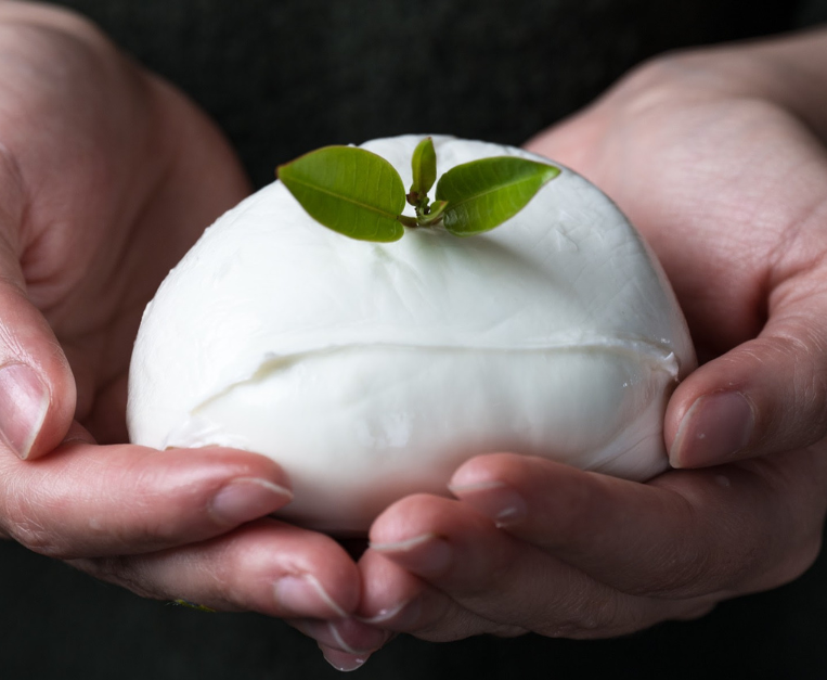 Mozzarella