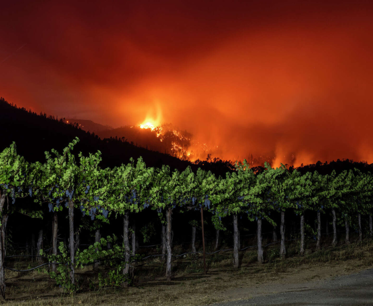 incendi-napa-valley-vino