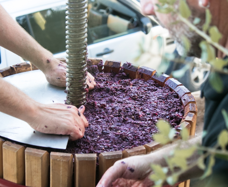 vini-non-millesimati-cambiamento-climatico-assemblaggio-annate