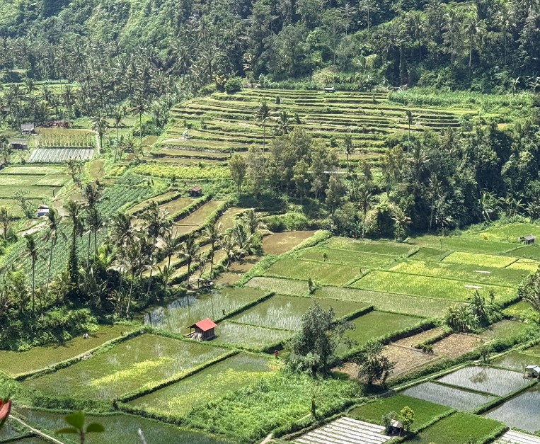 cosa-dove-e-come-si-mangia-in-indonesia