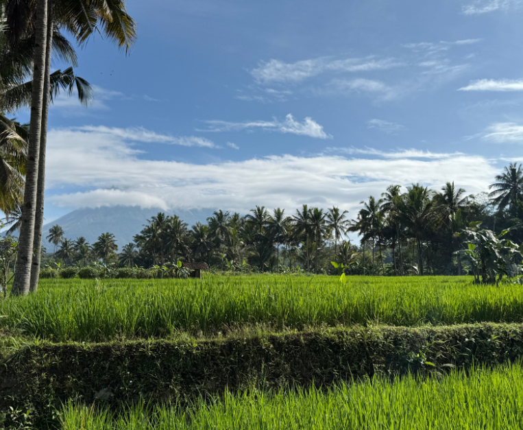 cosa-e-come-si-mangia-in-indonesia