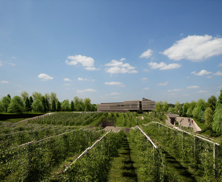 masi-monteleone21-apertura-valpolicella-vino