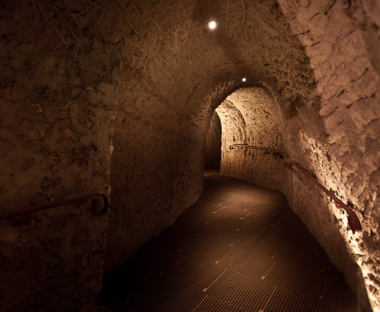 se-esiste-lo-champagne-e-merito-dei-dinosauri