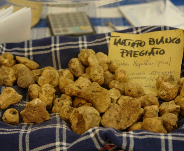 tartufo-bianco-pregiato-2025