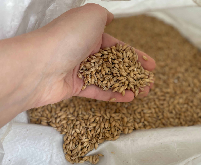 turismo-birra-italia-birrifici