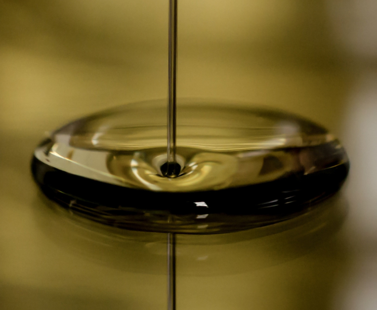 umbria-progetto-polifenoli-olio-extravergine