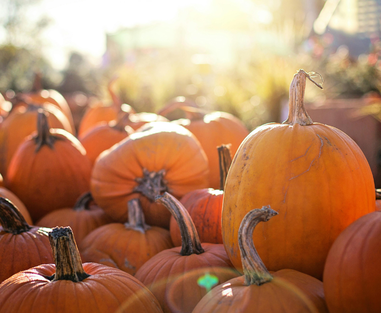 zucca-halloween-si-puo-mangiare