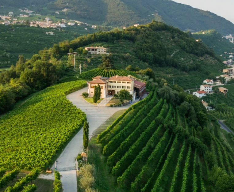 50-cantine-top-2025-masi