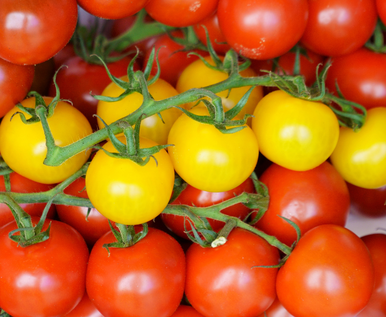 perche-pomodori-gialli-rossi-studio-gene-yft3