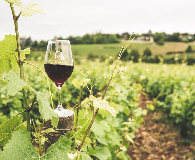 produzione-mondiale-vino-2025-stime-oiv-italia-primo-produtore