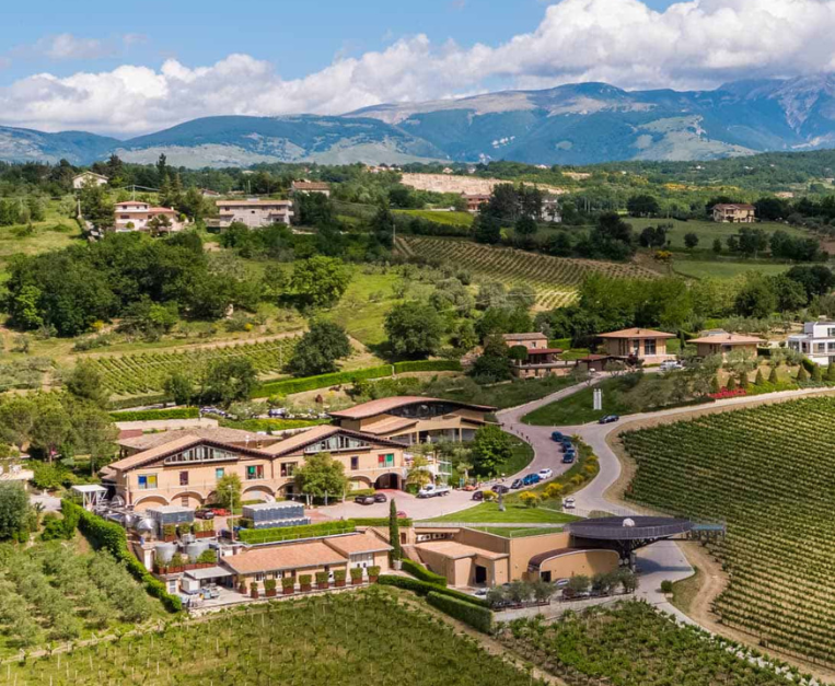 Zaccagnini, the art of wine • Food and Wine Italy Zaccagnini, the art of wine • Food and Wine Italy