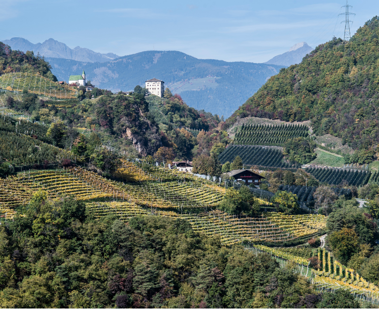 Elegance according to Nals Margreid • Food and Wine Italia Elegance according to Nals Margreid • Food and Wine Italia