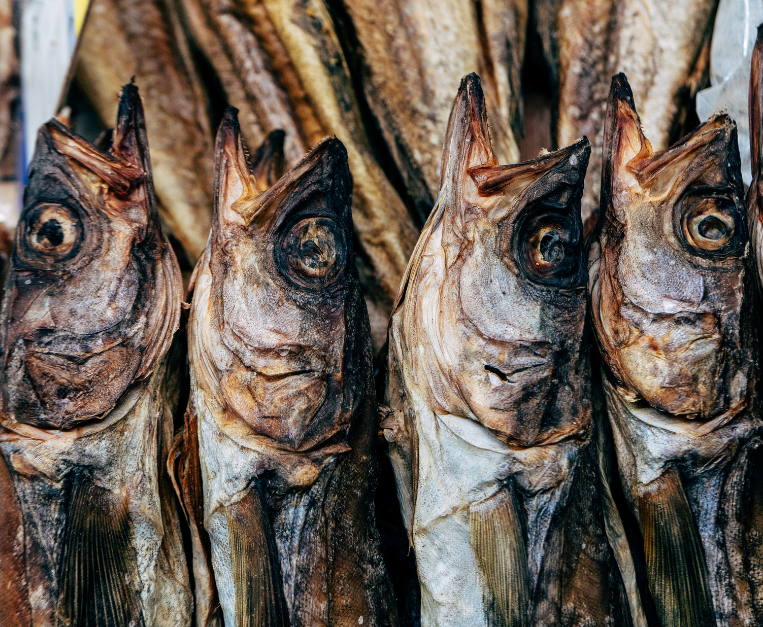 stoccafisso-baccala-differenze-mussillo