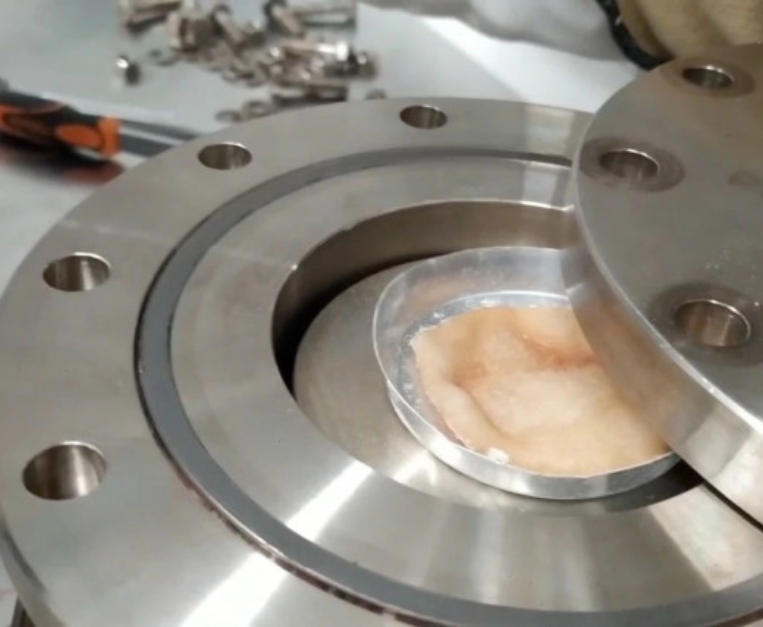 pizza-senza-lievito-fisica