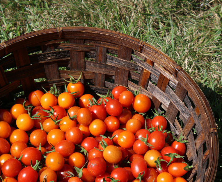 sughi-italiani-pomodoro-cinese-importazioni