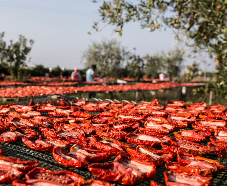 Pomodoro Paglione