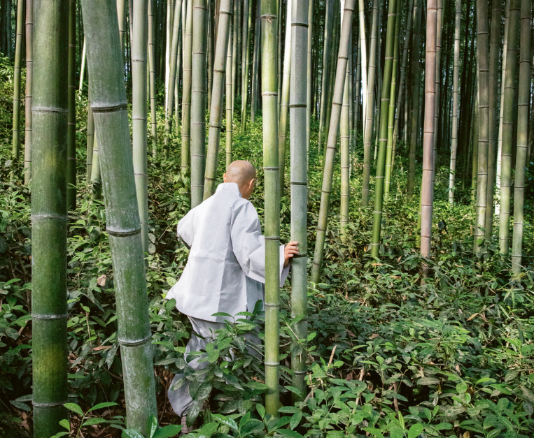 jeongkwan-snim-vienna-evento-steinbeisser