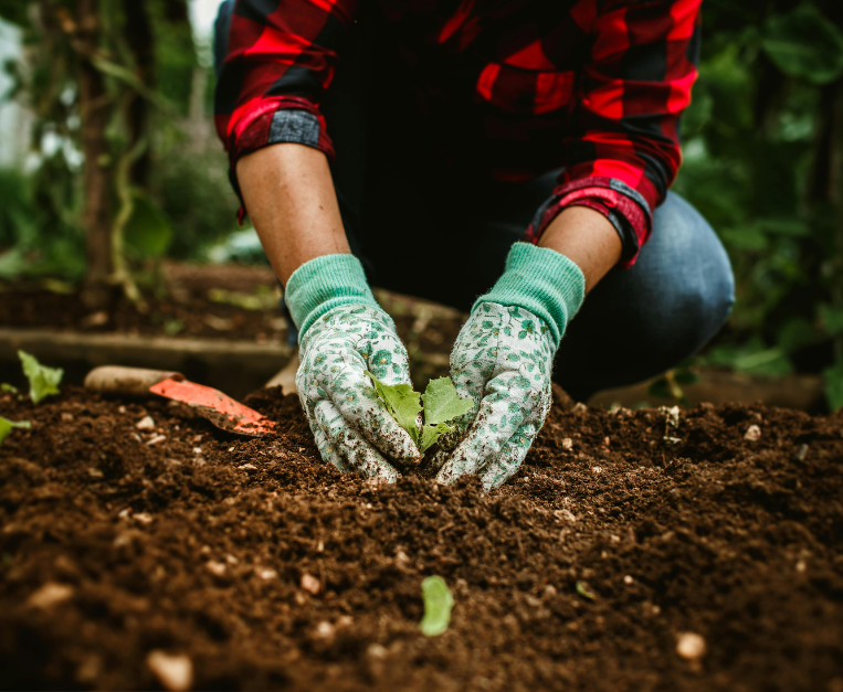 tendenze-gastronomia-ecole-ducasse